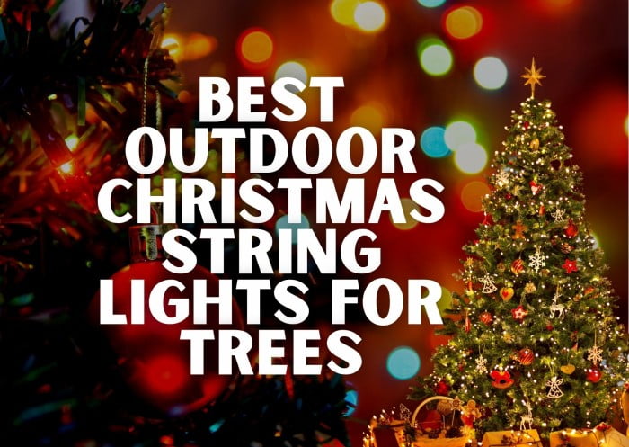 best outdoor Christmas string lights for trees