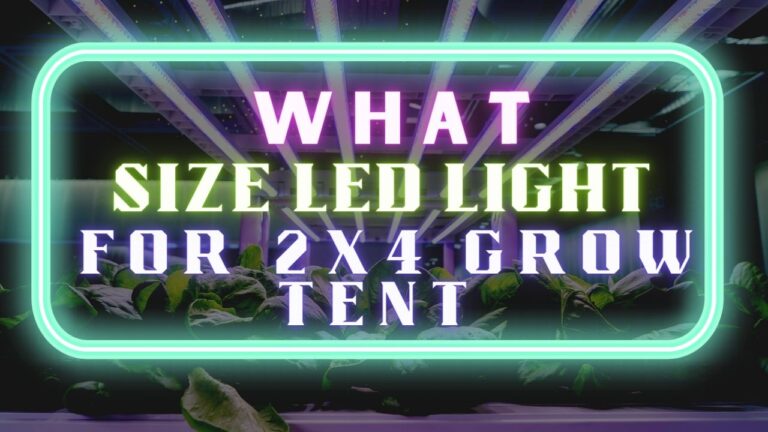 What size led light for 2x4 grow tent