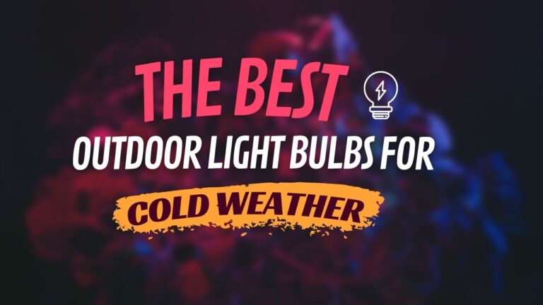 Best outdoor light bulbs for cold weather