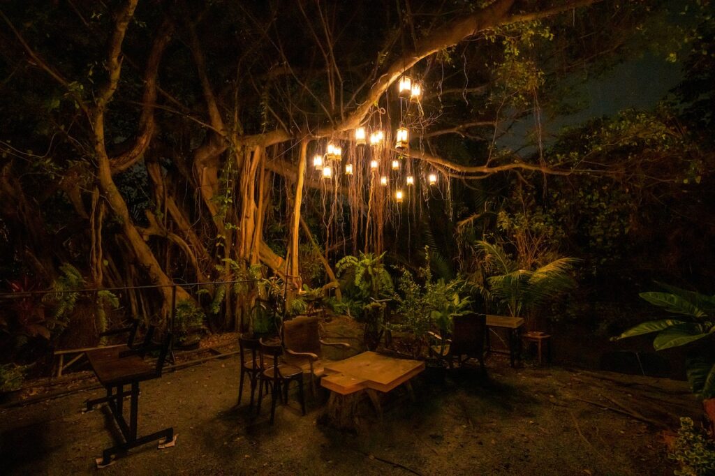 10 Creative Ways to Use LED Lights in Your Garden or Outdoor Space