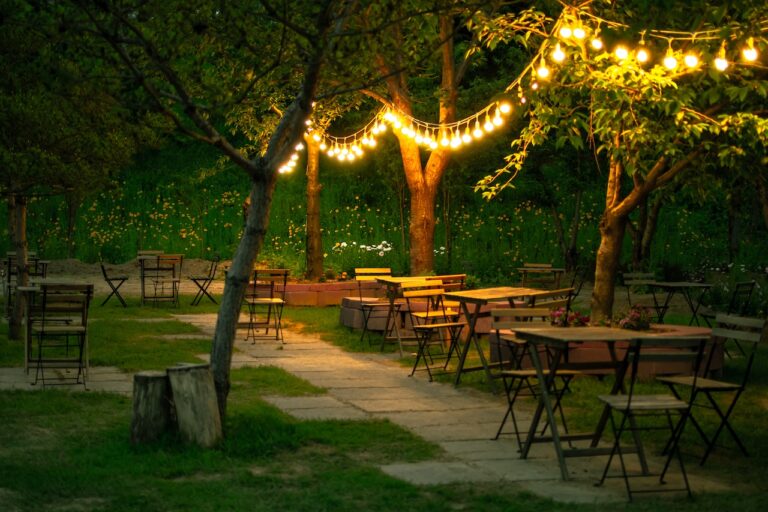 10 Creative Ways to Use LED Lights in Your Garden or Outdoor Space